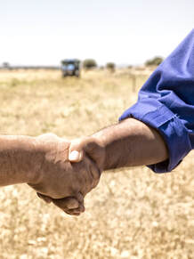 Business, Cooperative, Handshake, Partnership, Company